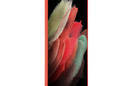 Crong Color Cover - Etui Samsung Galaxy S21 Ultra (czerwony) - zdjęcie 2