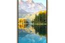 Nillkin Super Frosted Shield - Etui Huawei P40 (Golden) - zdjęcie 2