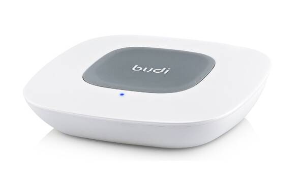 Budi -  - zdjęcie 1