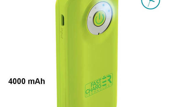 PURO Universal External Fast Charger Battery - Uniwersalny Power Bank 4000 mAh, 2 x USB, 2.4 A (limonkowy) - zdjęcie 1