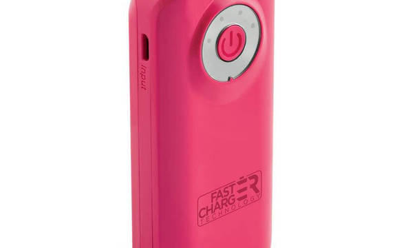 PURO Universal External Fast Charger Battery - Uniwersalny Power Bank 4000 mAh, 2 x USB, 2.4 A (różowy) - zdjęcie 2